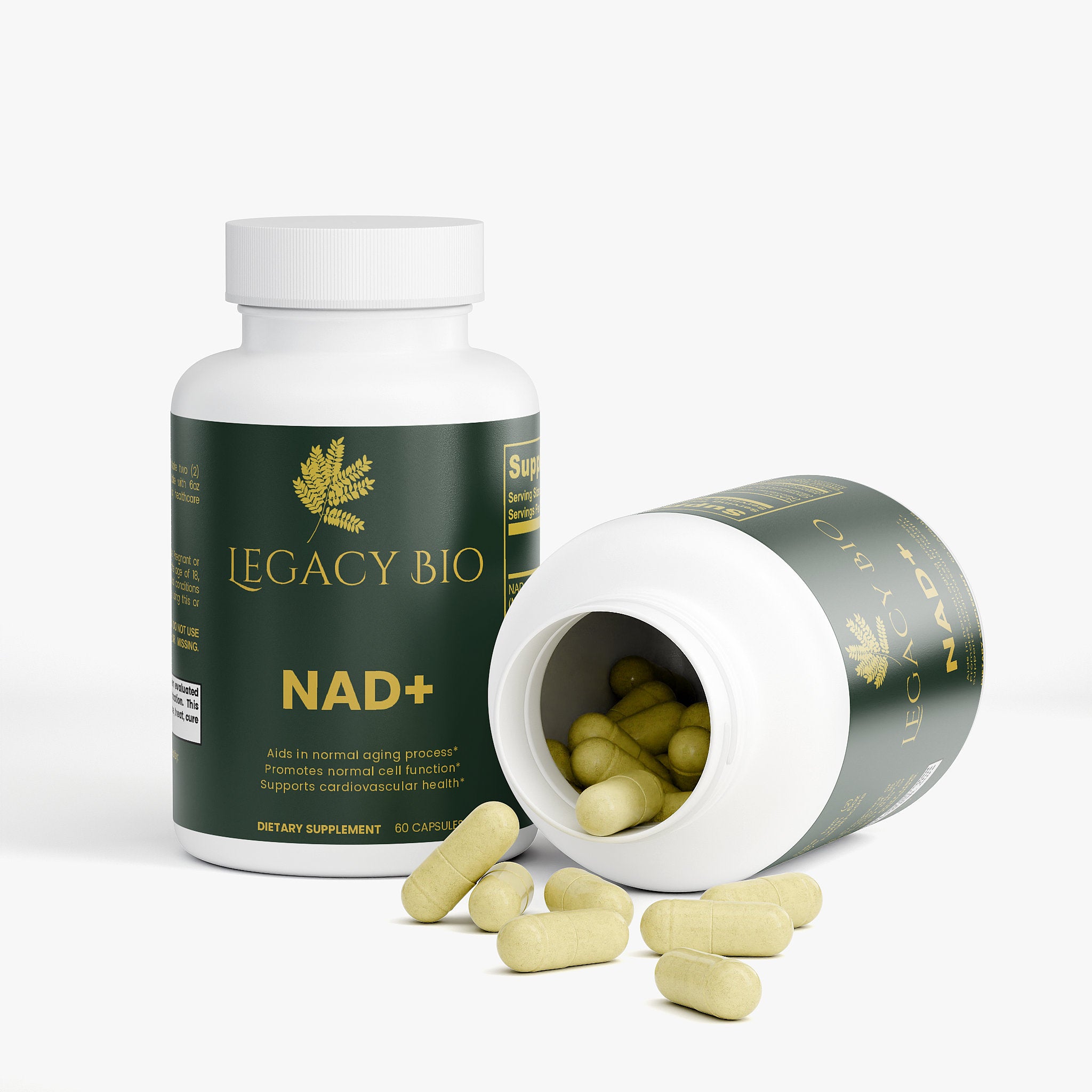 The Fuel & The Spark- Core Daily Longevity.